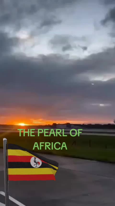 @Tburg73