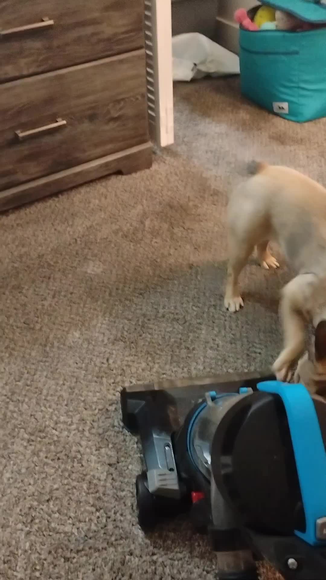 @KiKiLV67/$KelliHickey