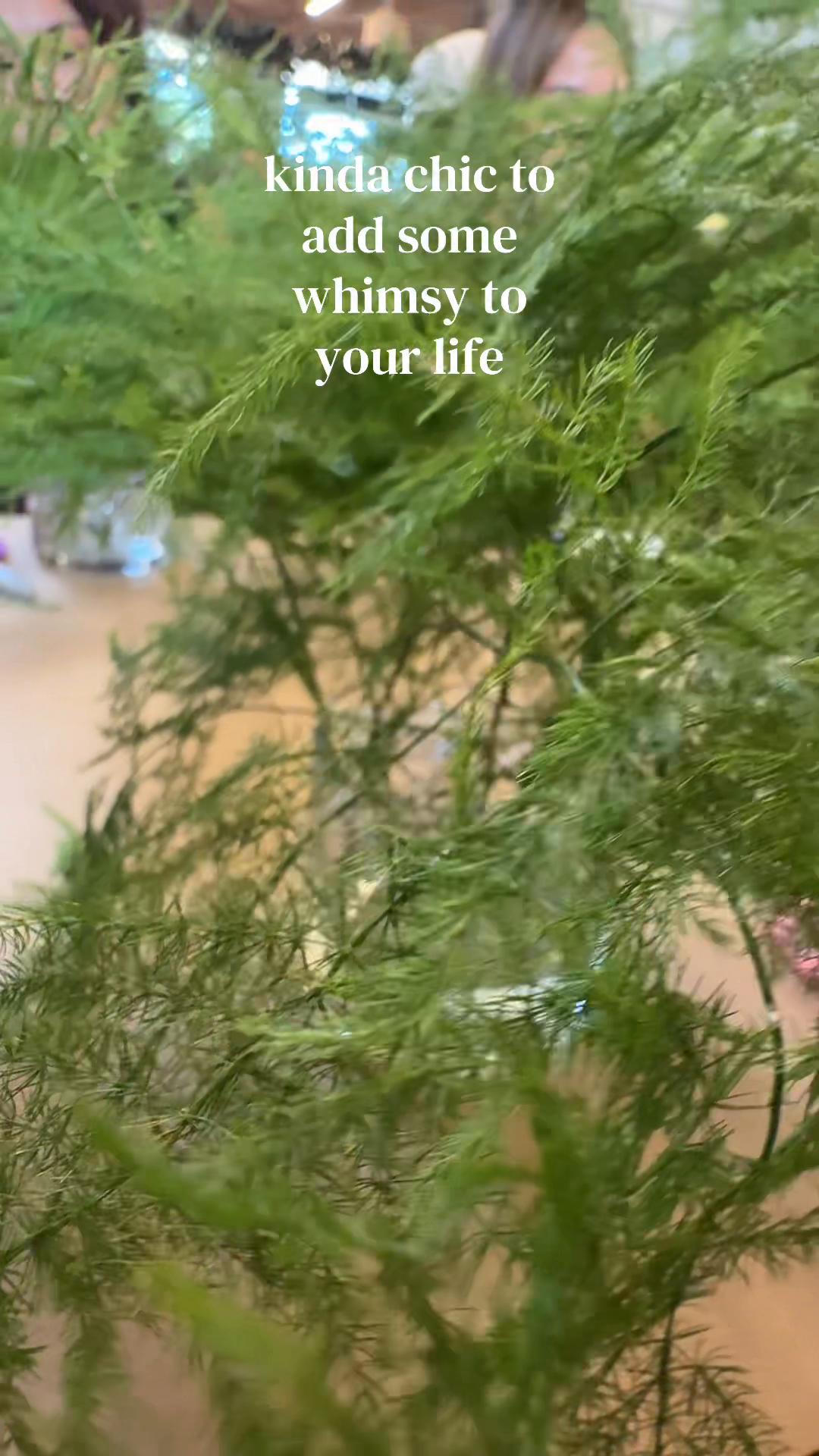 @Cole