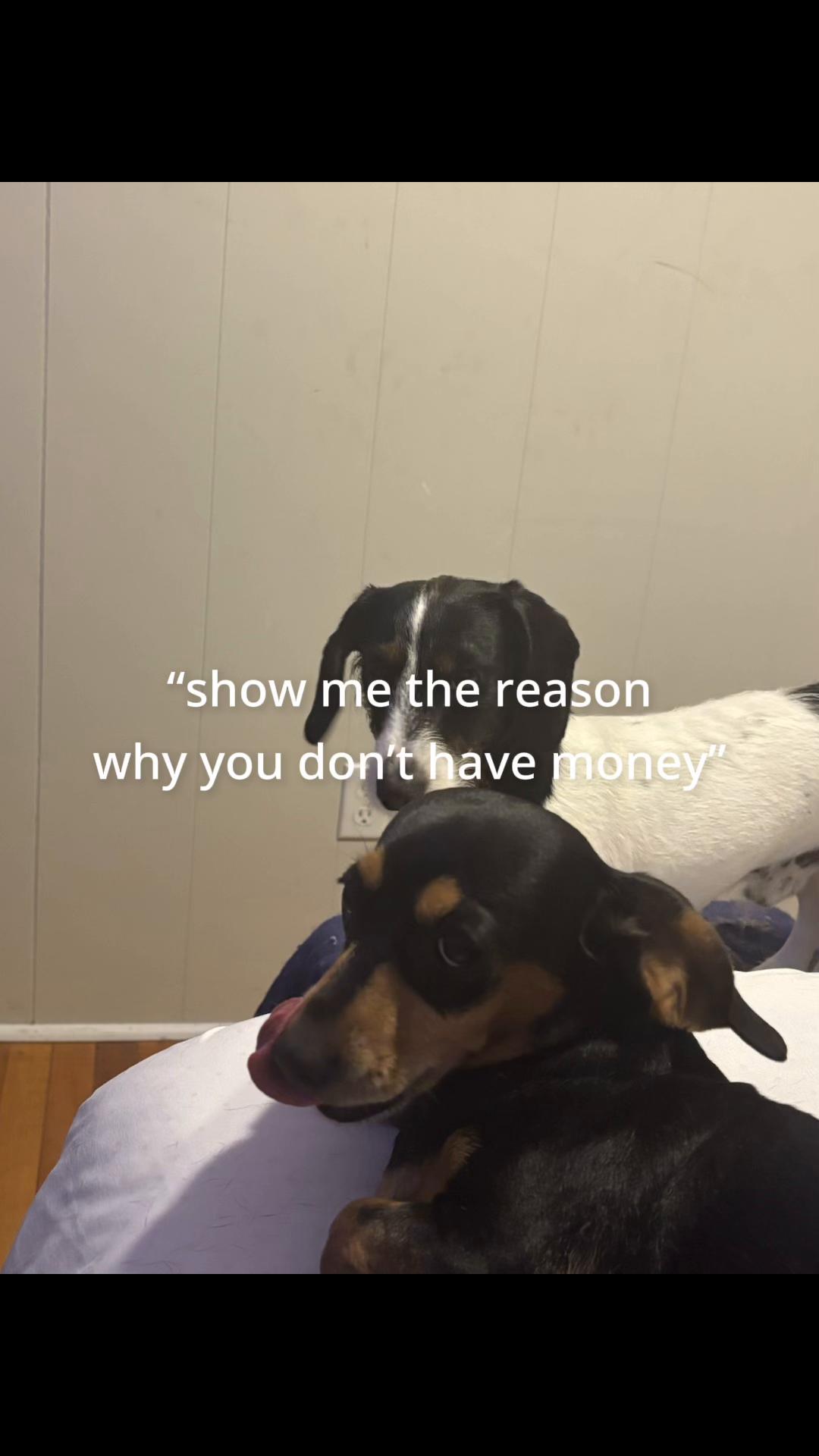 @Kimberly Gifford