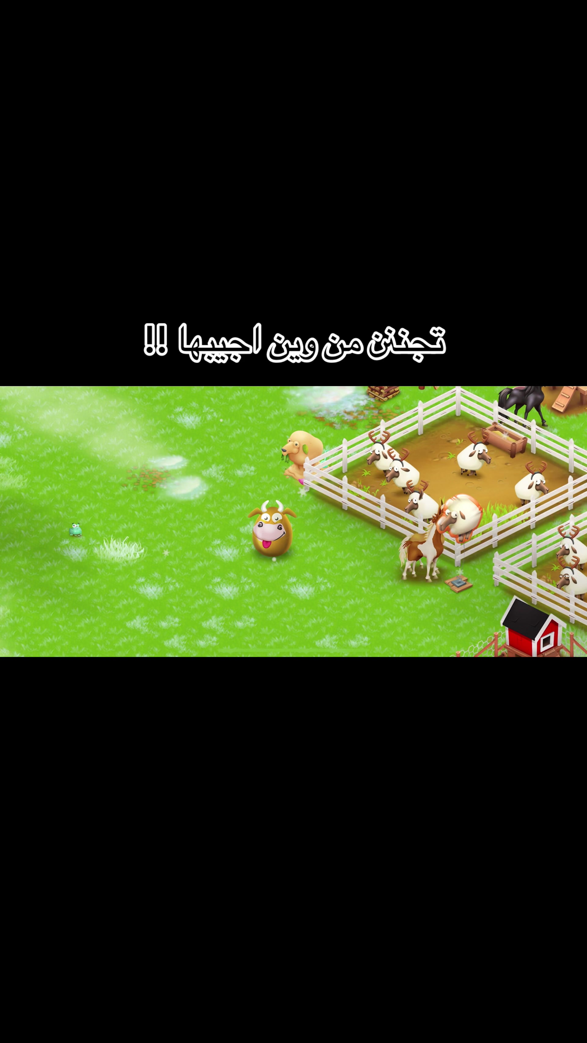 @الصداقة