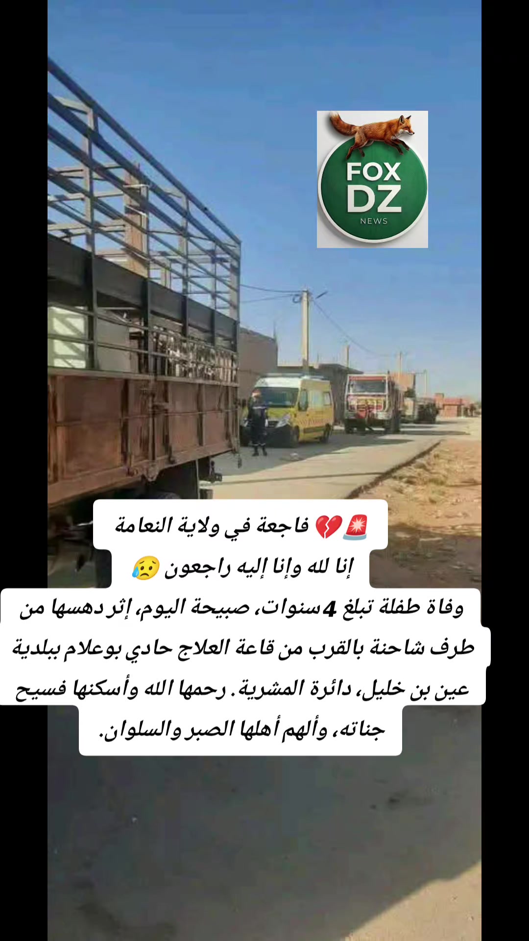 @🇩🇿FOX🦊 DZ🇩🇿