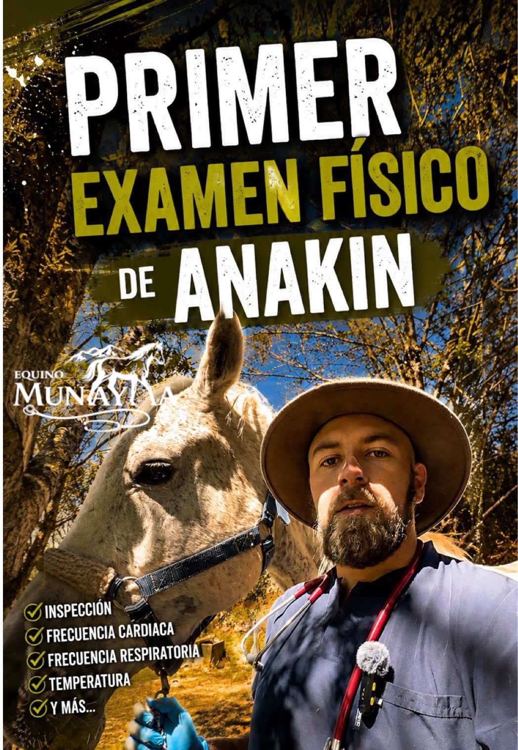 @Álvaro Meneses