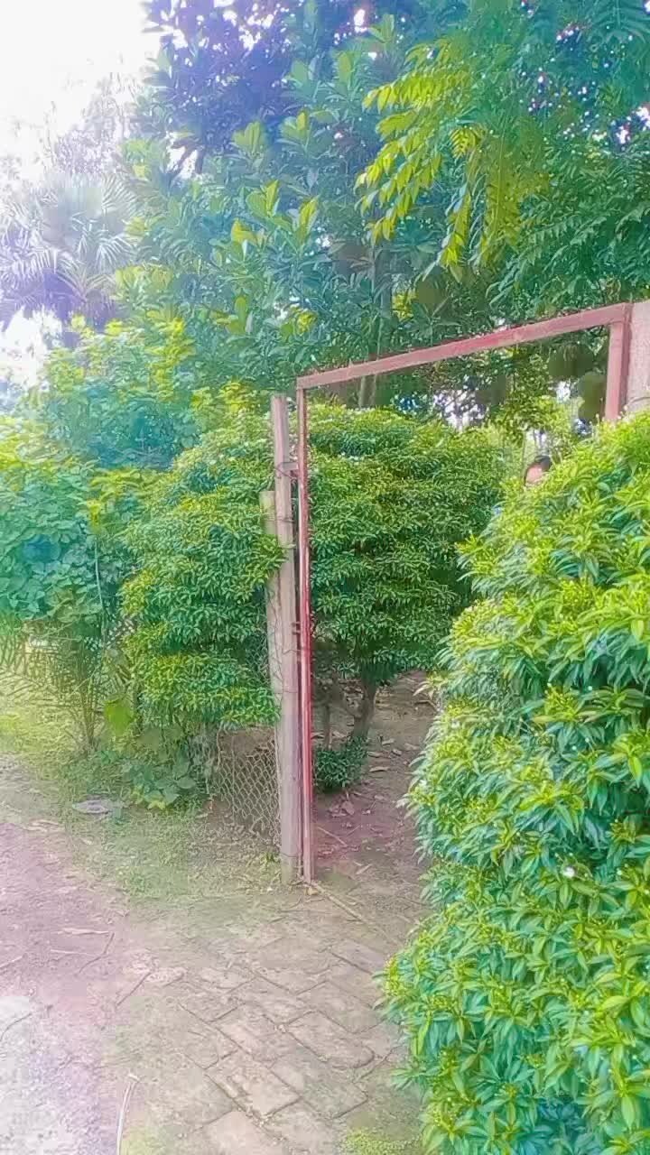 @đąđāĻā§āĻā§āĻ āϰāĻžāϧāĻžđđą