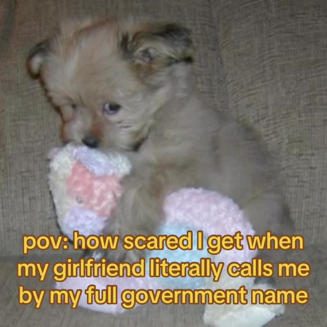 @The Bark Archive