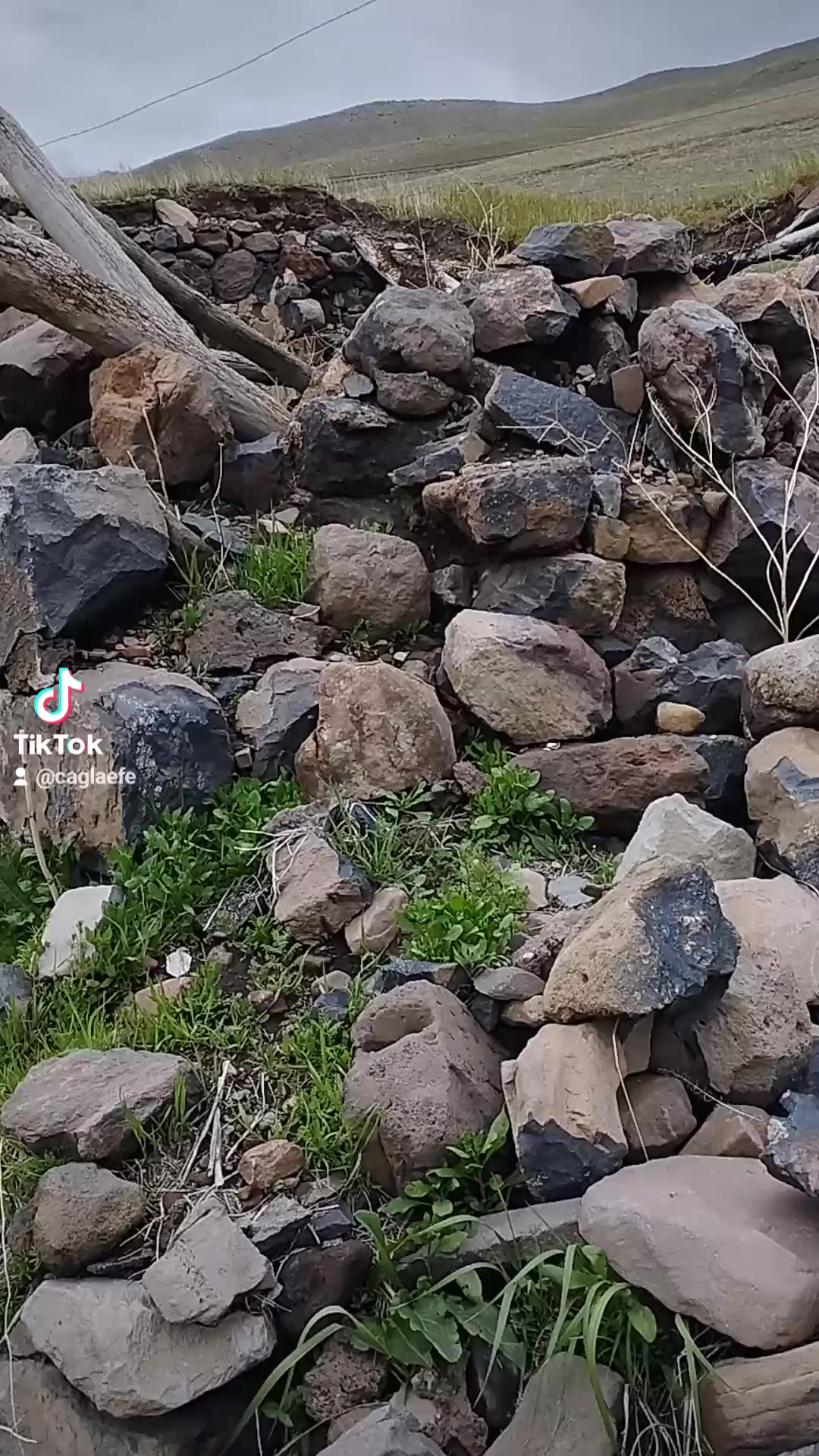 @EFE. &Ouml;ZG&Uuml;VEN 76