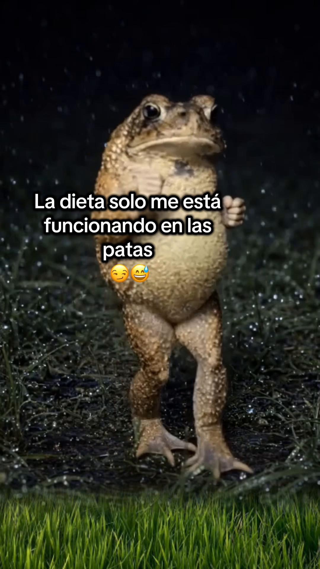 @Erika🪻