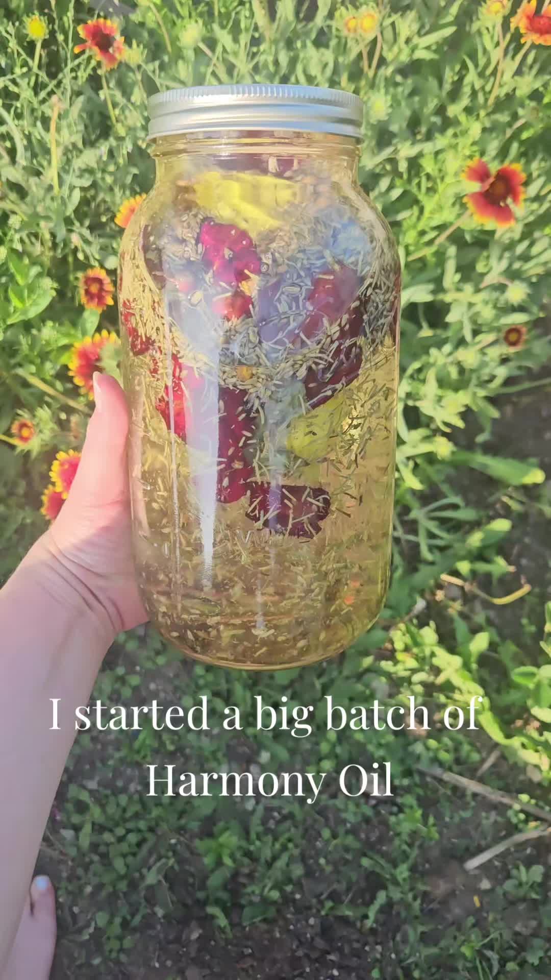 @StarDustWitch444