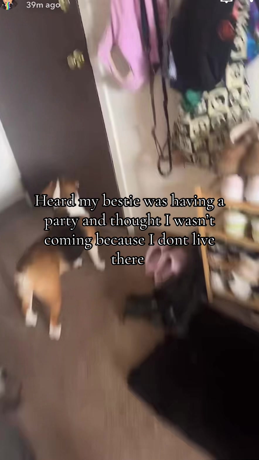 @Amber
