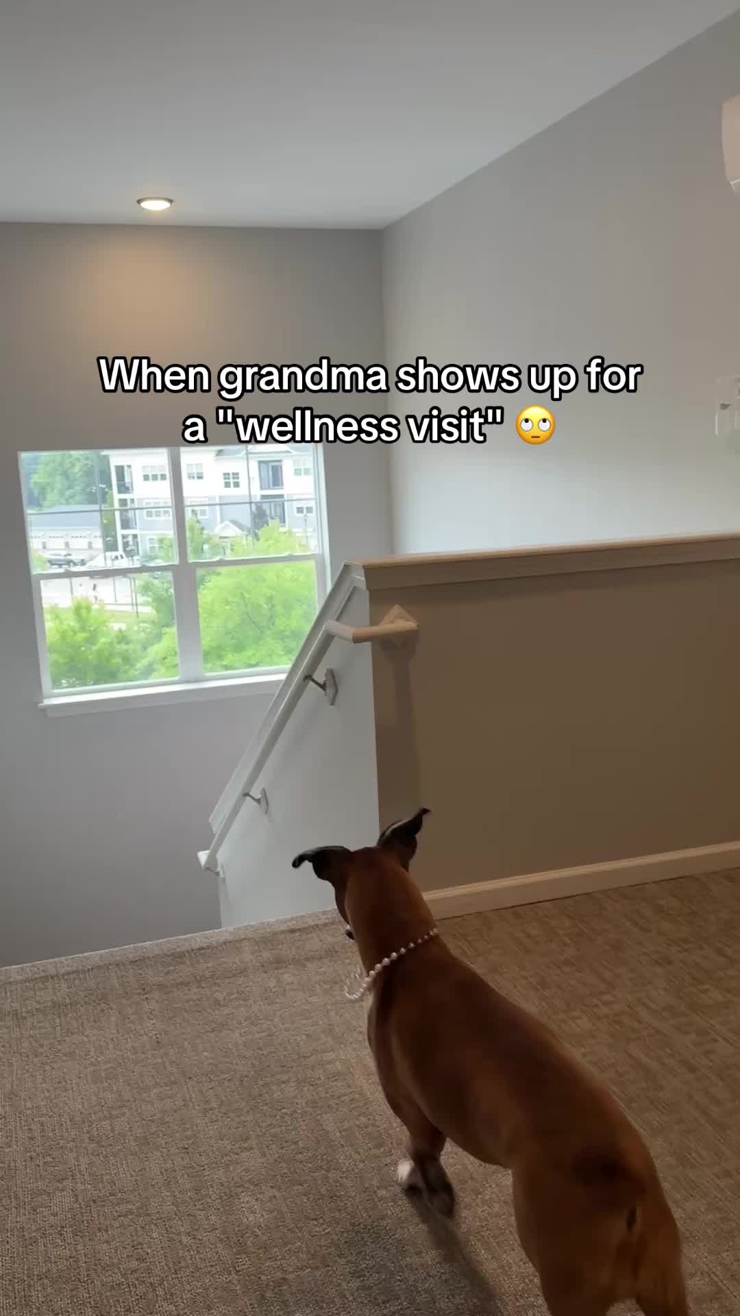 @Princess Poppy