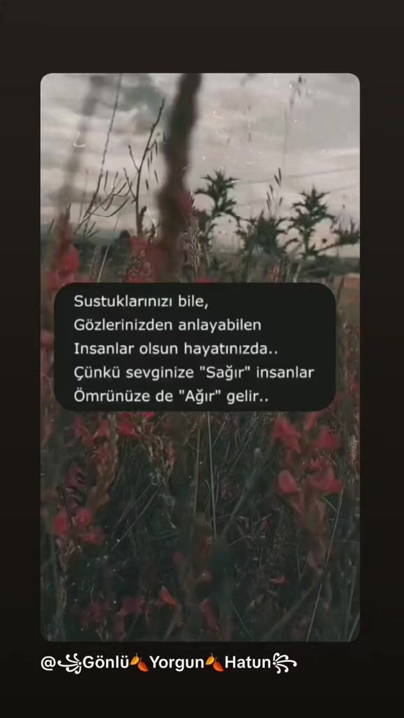 @💫Bendeniz💎