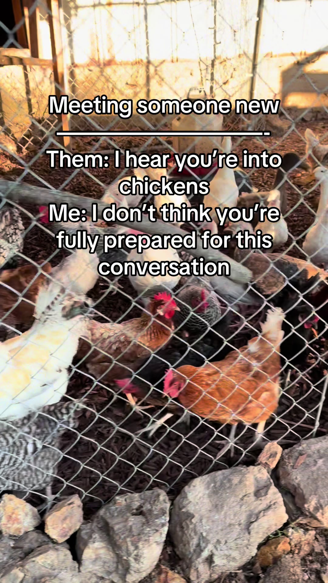 @BrackenHenHouse