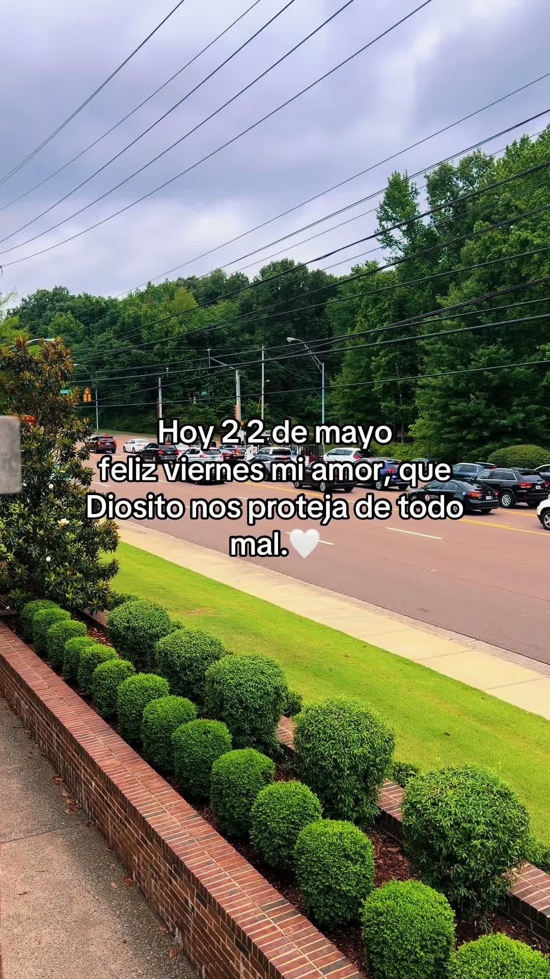@rolitas502🇬🇹