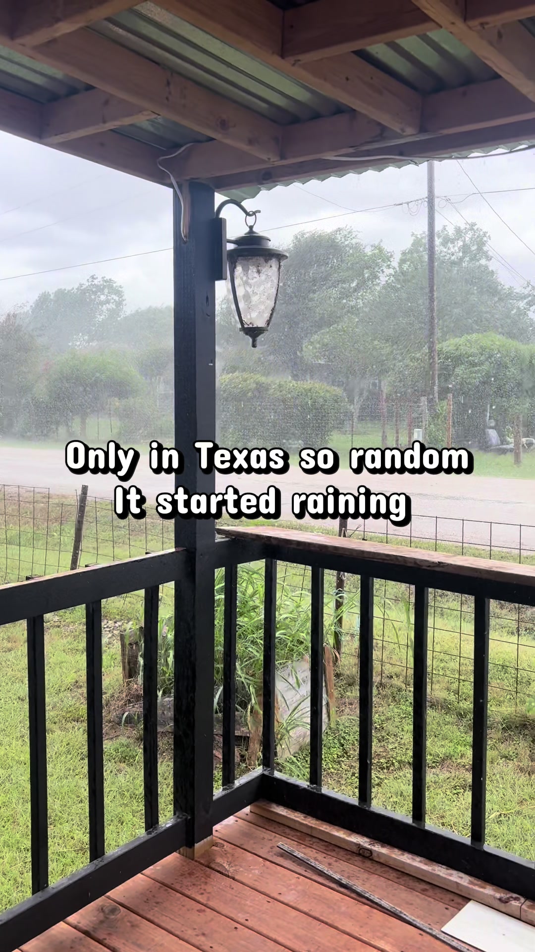 @ofeliacc4