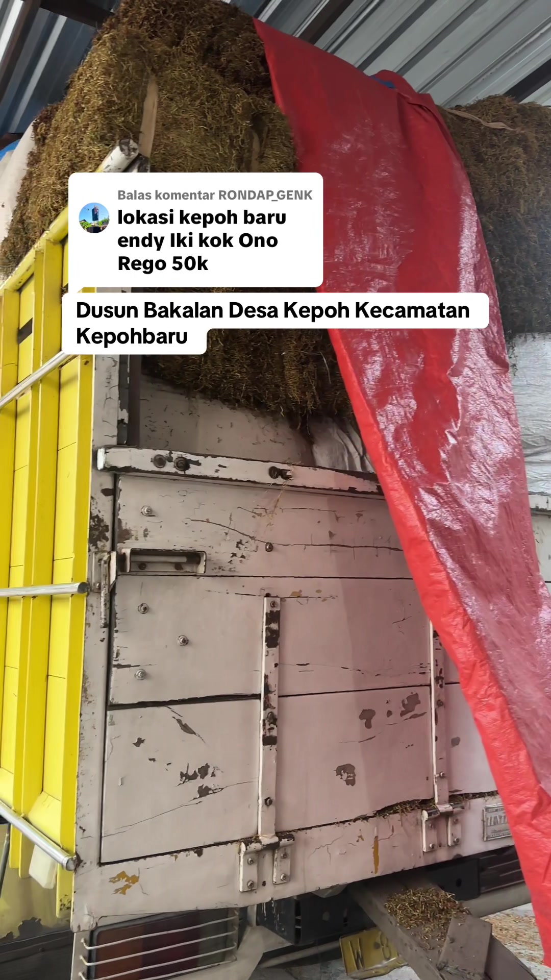 @PemainDalam