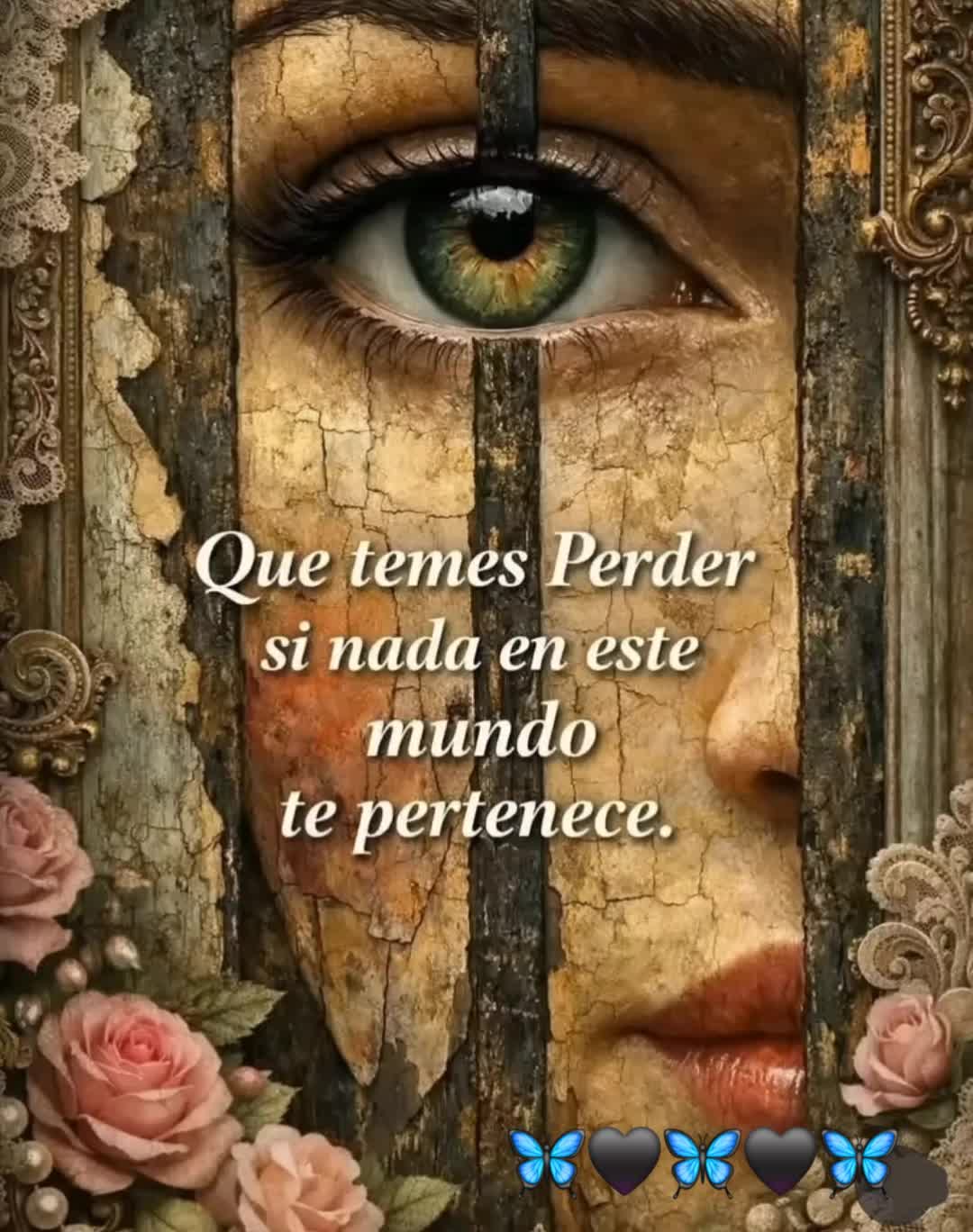 @Claribella 🦋🦋