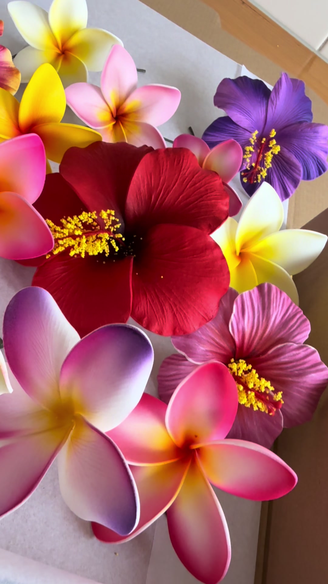 @Island Aesthetica 🌺 Pasifika