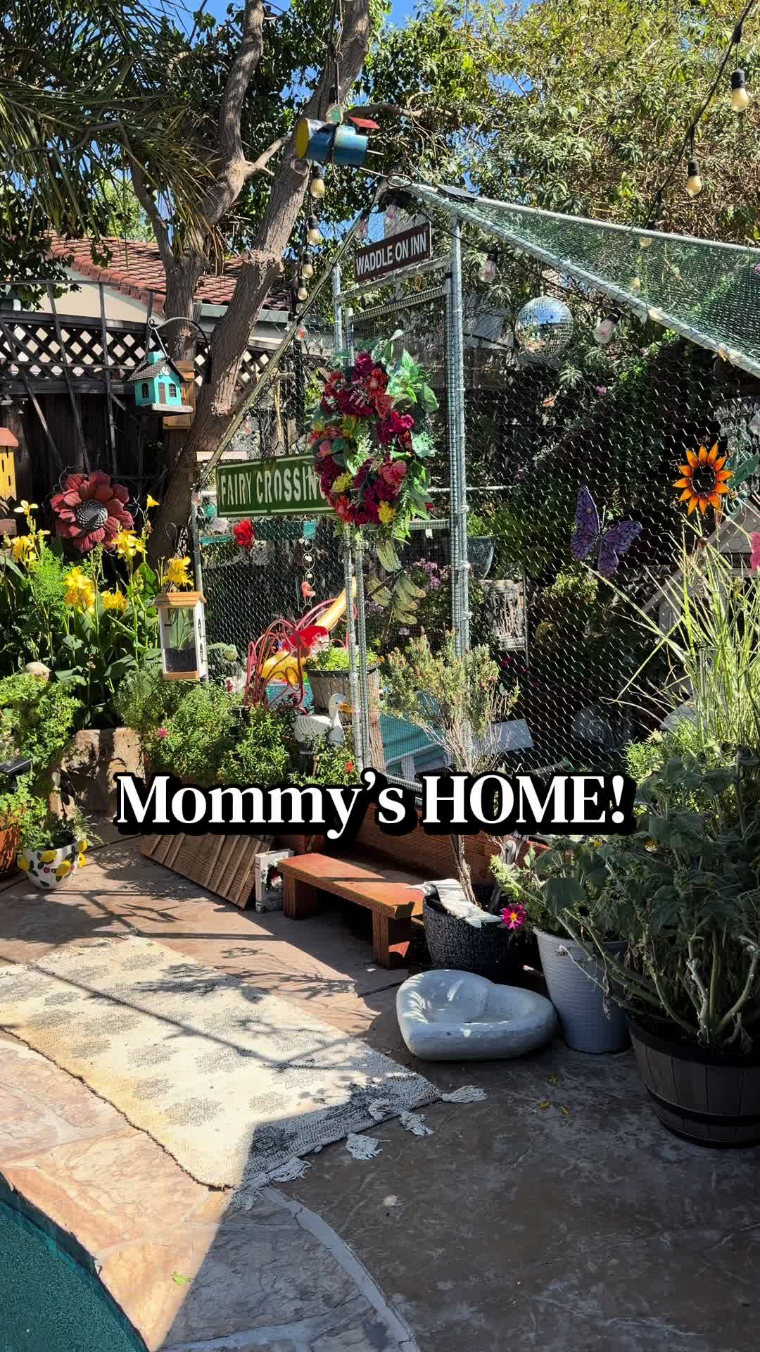 @Sherry&rsquo;s Backyard Sanctuary