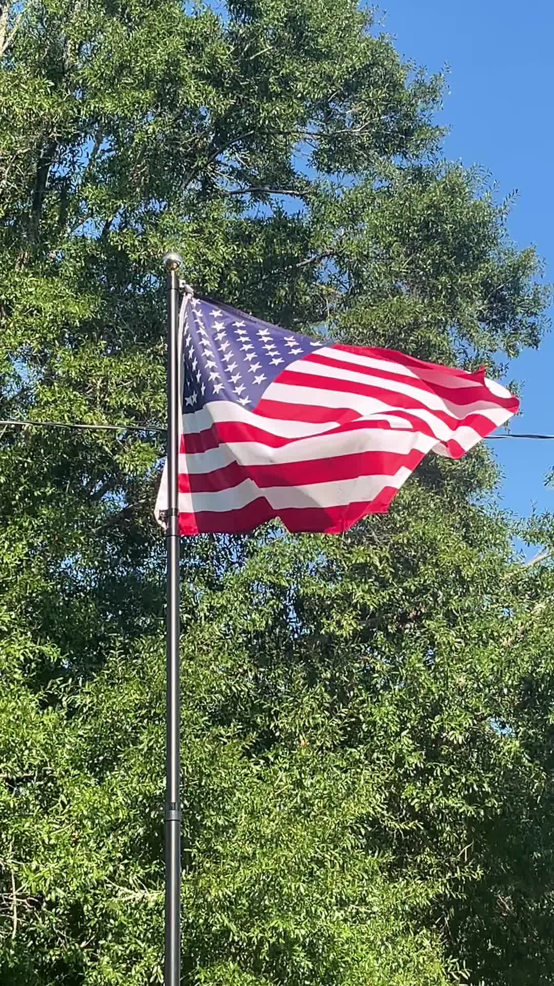 @Stephanie P. Gautreau