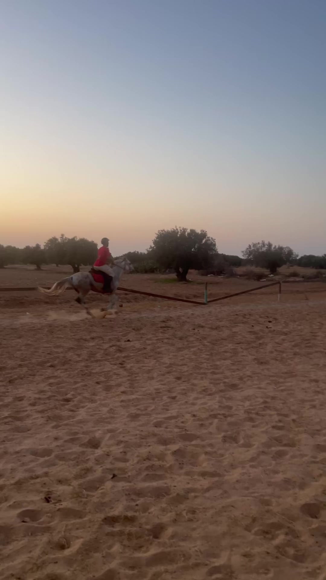 @Feres Ben Amor 🏇