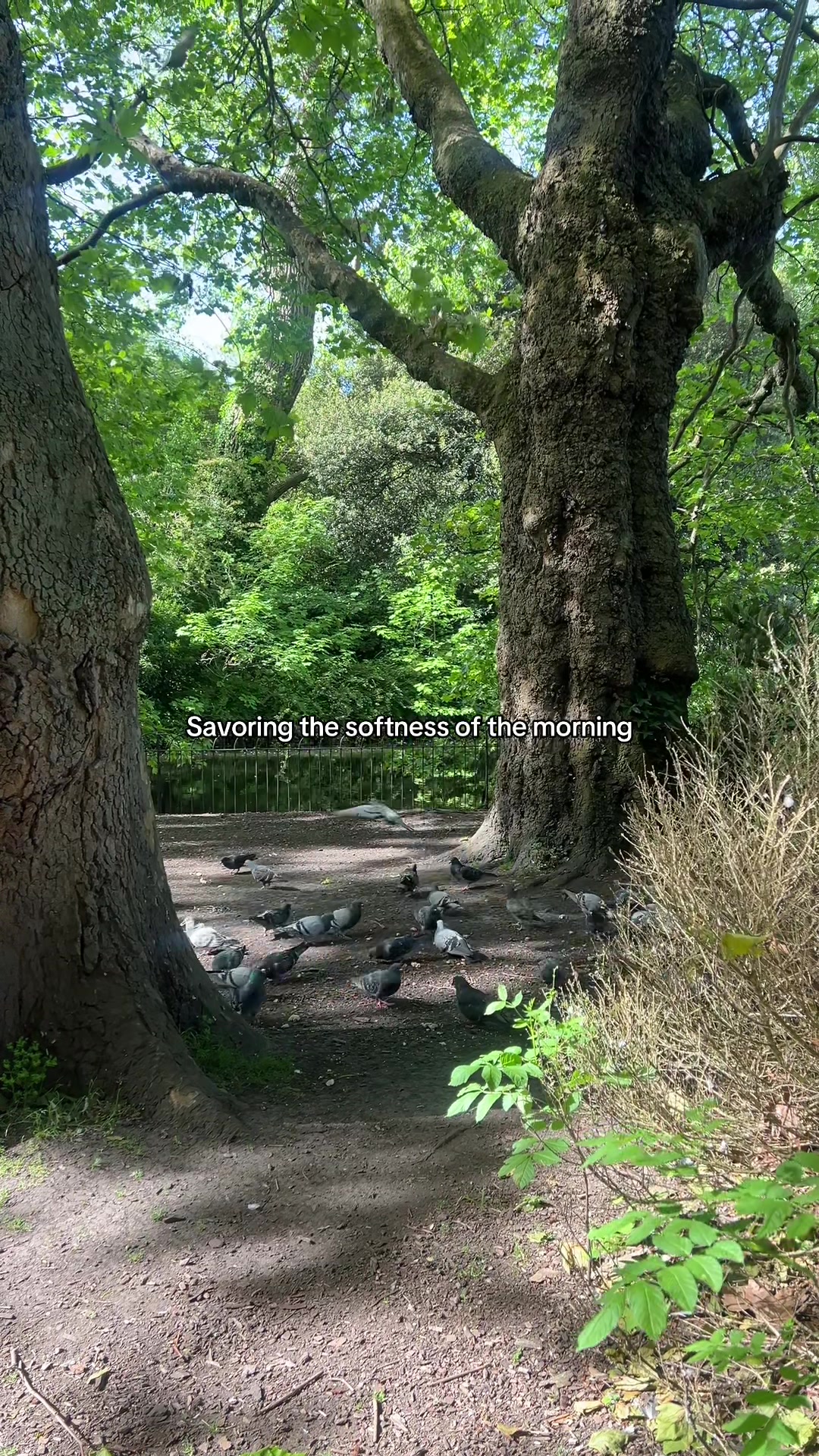 @findinginnerpeace__