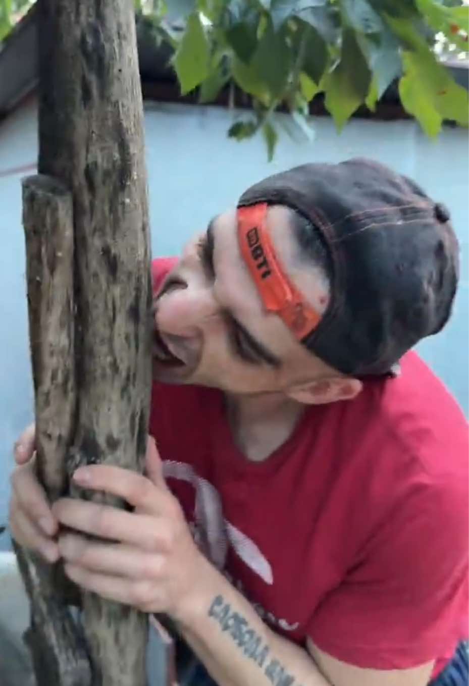 @Niksabre