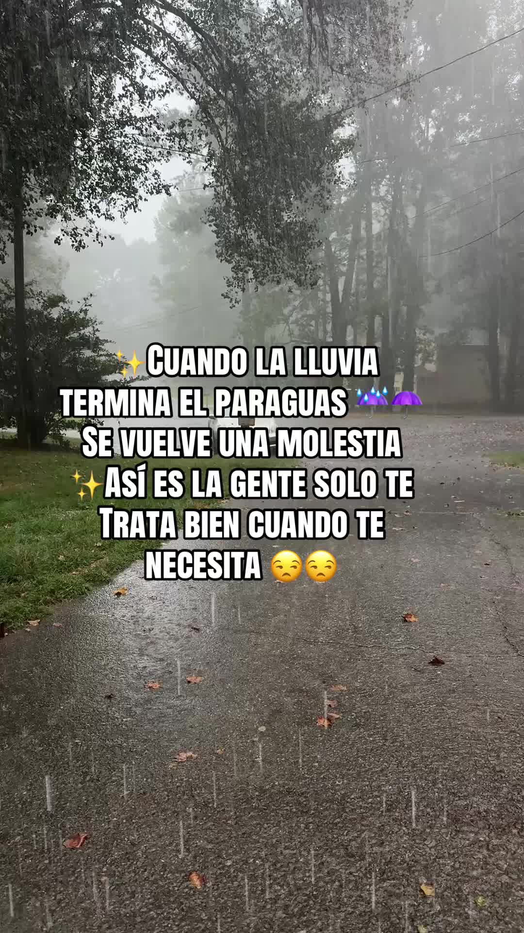 @✨gigilopez23🌺