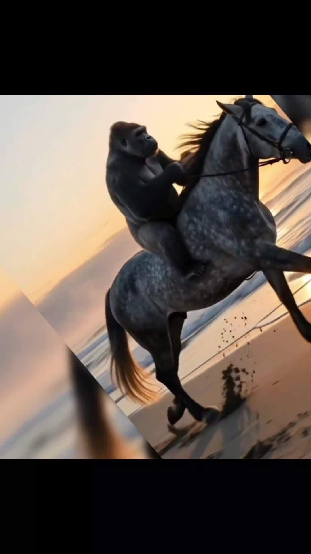 @🦧𝕾𝖎𝖑𝖇𝖊𝖗𝖗𝖚̈𝖈𝖐𝖊𝖓🦧
