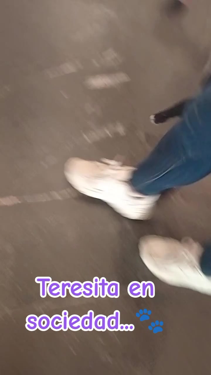 @Thaly Cendejas