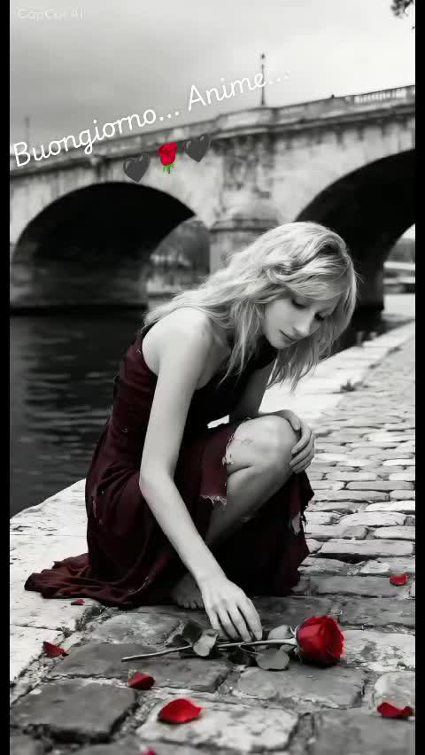@🖤ᏓᏋᎠᎩ🖤ᏣᎡᏐᎷᏐᏁᎯᏓ🖤