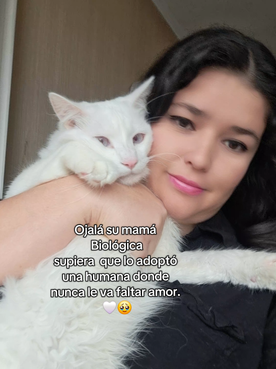 @MichiLovers&reg;