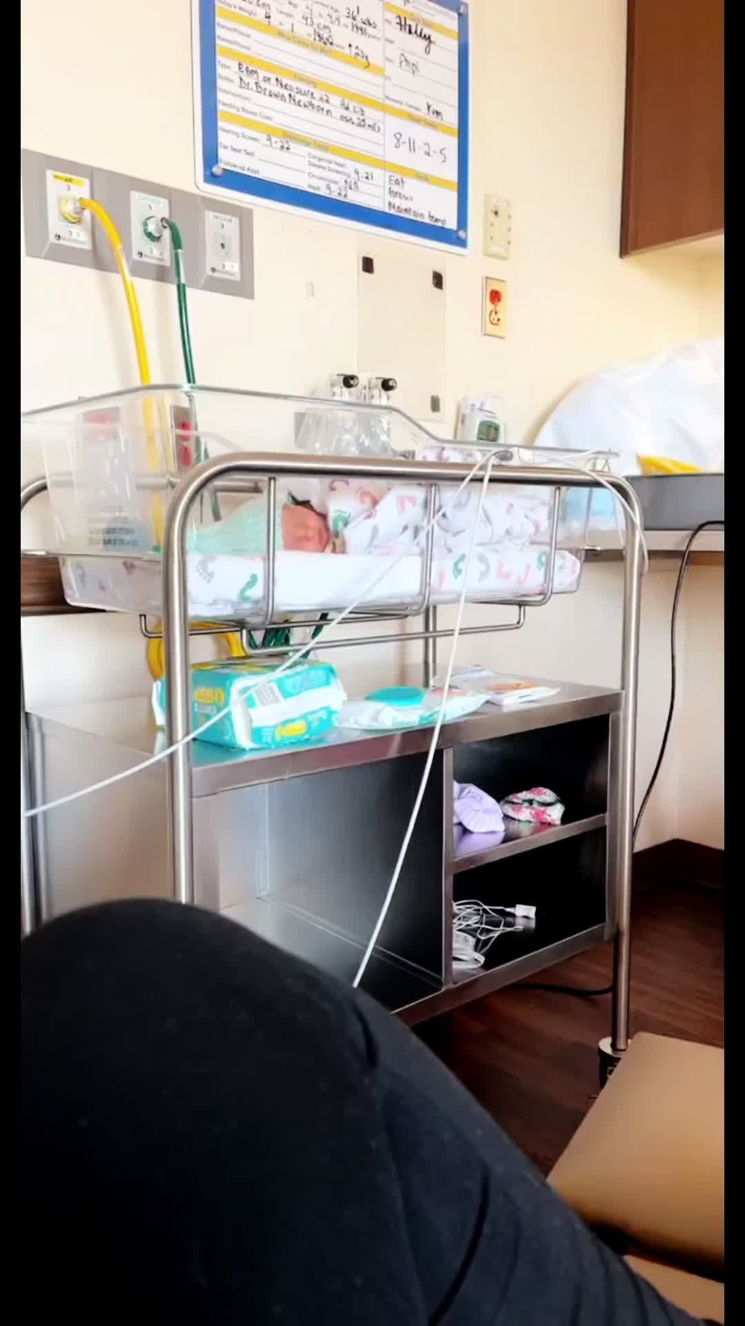 @ambrr
