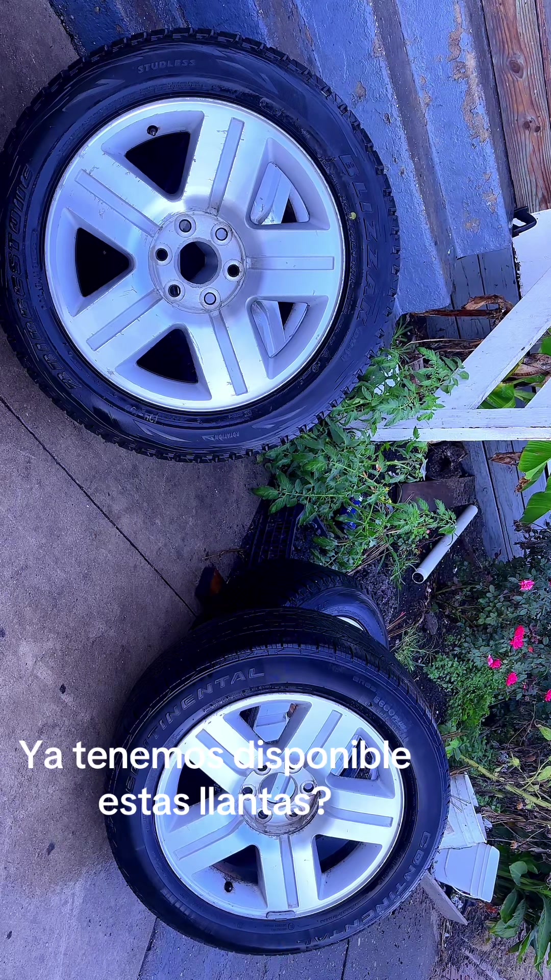 @Lorena Gonzalez