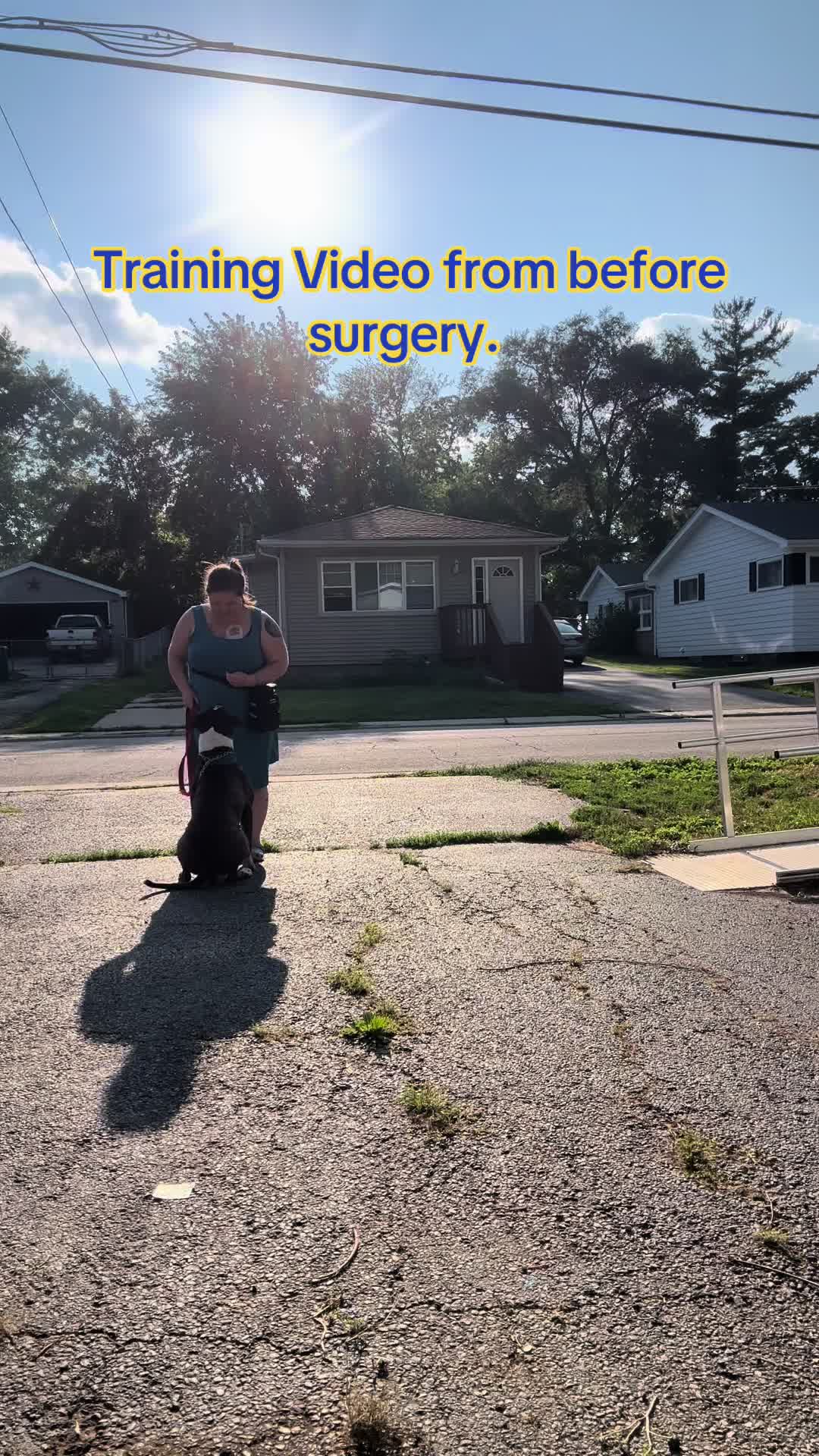 @ladyvetandherpack