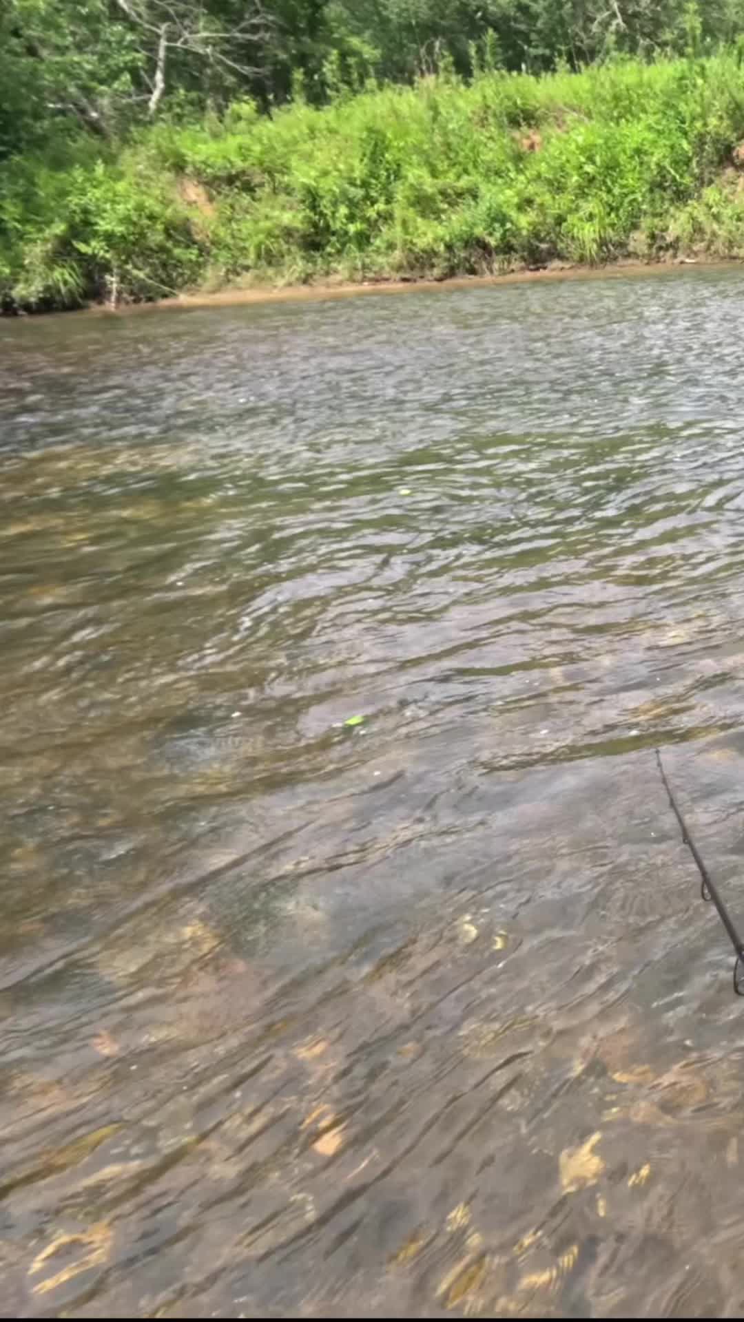 @Creek Seeker Outdoors