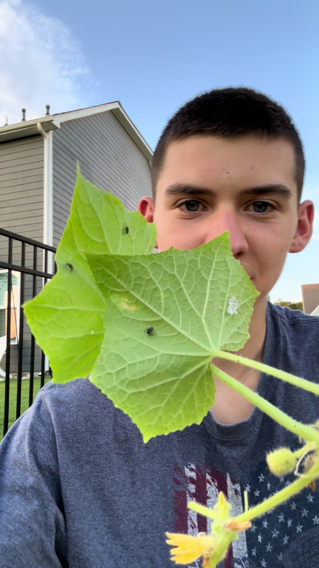 @Aiden&rsquo;sgardening