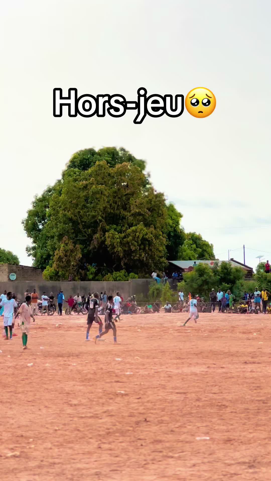 @snap_ksg