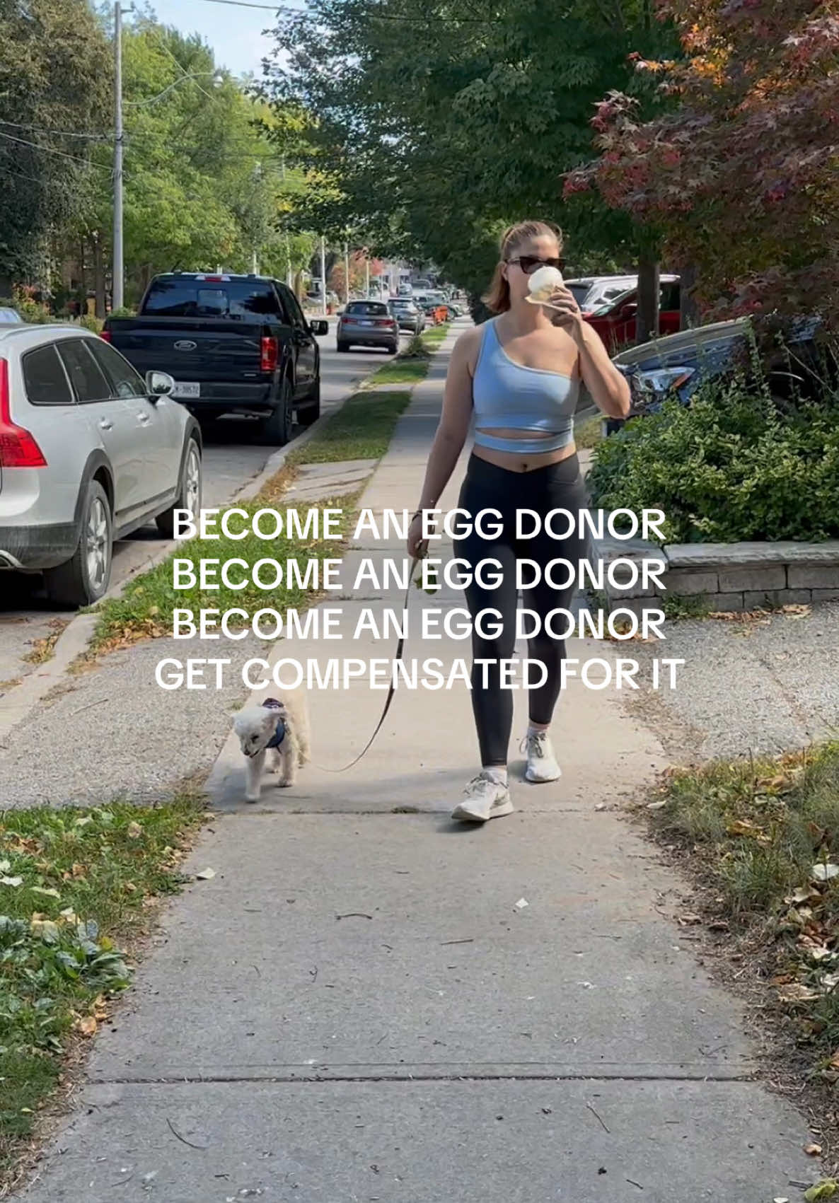 @DonateMyEggs