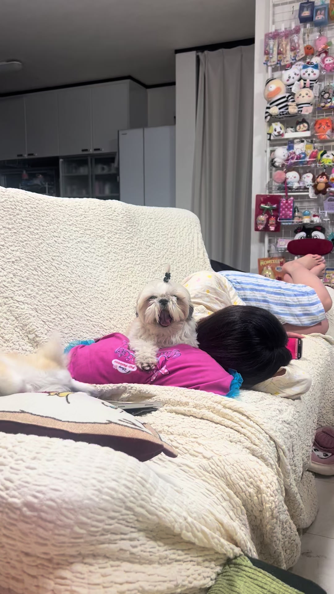 @人よりの犬