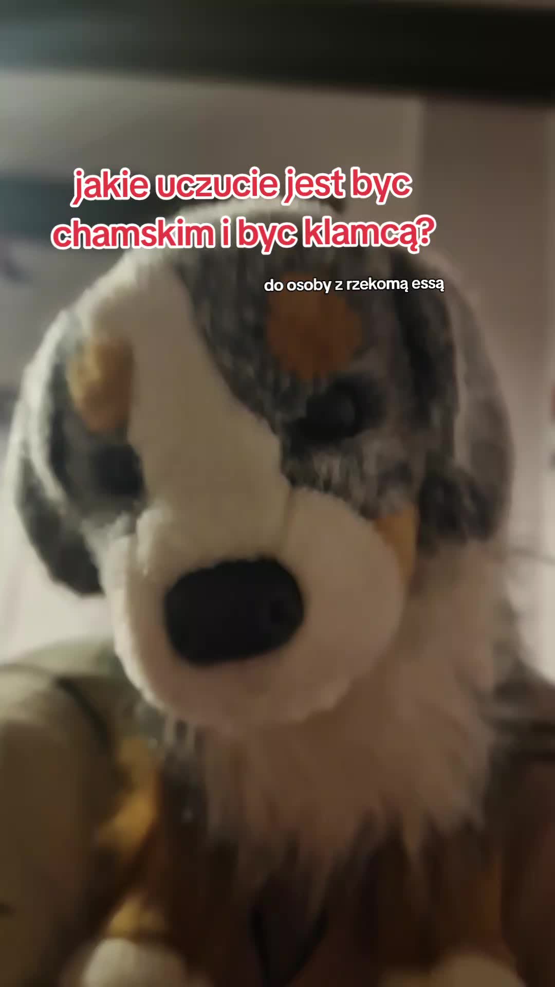 @.°•☆Ginga Silver Fang☆•°.