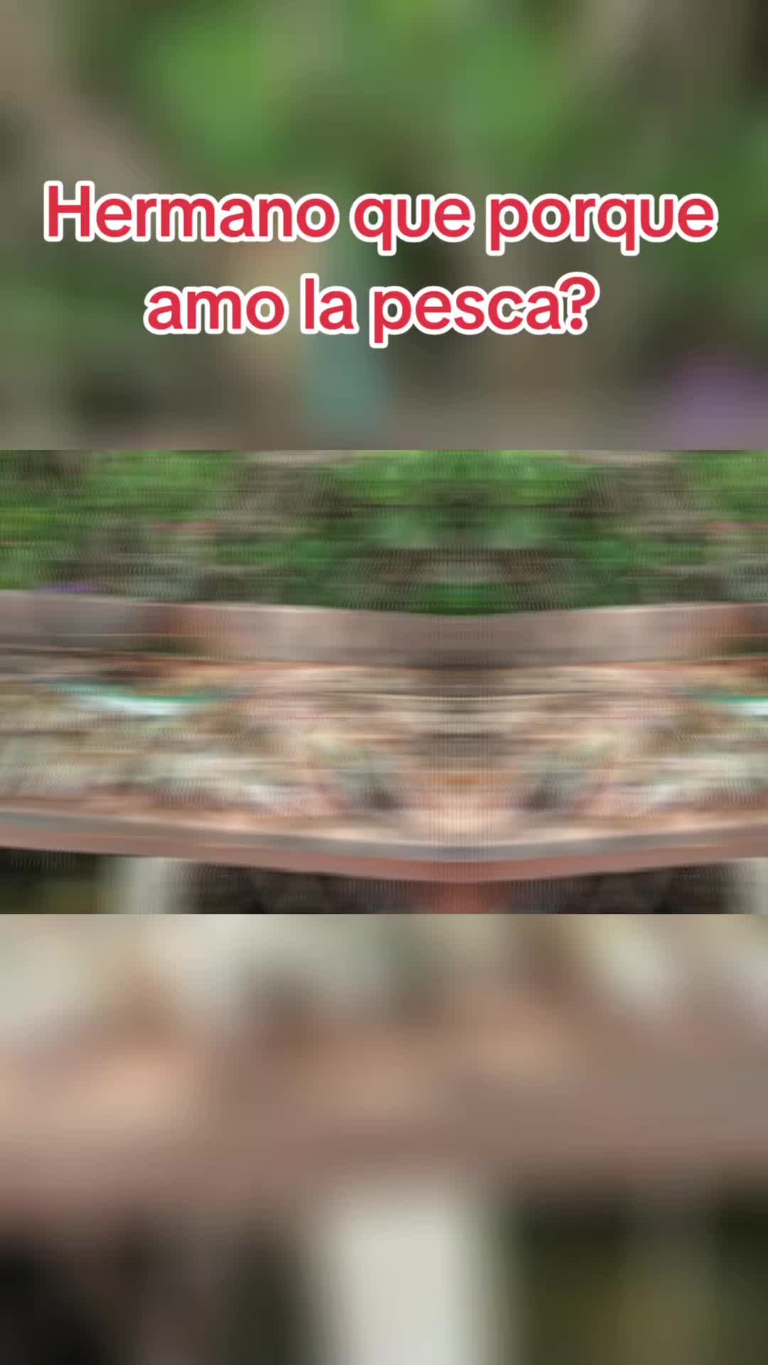 @vvdiasdplaya