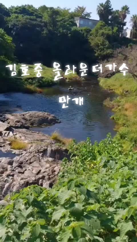 @올리브11