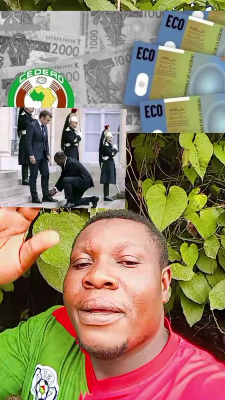 @mecanicien 237🇨🇲🇨🇲