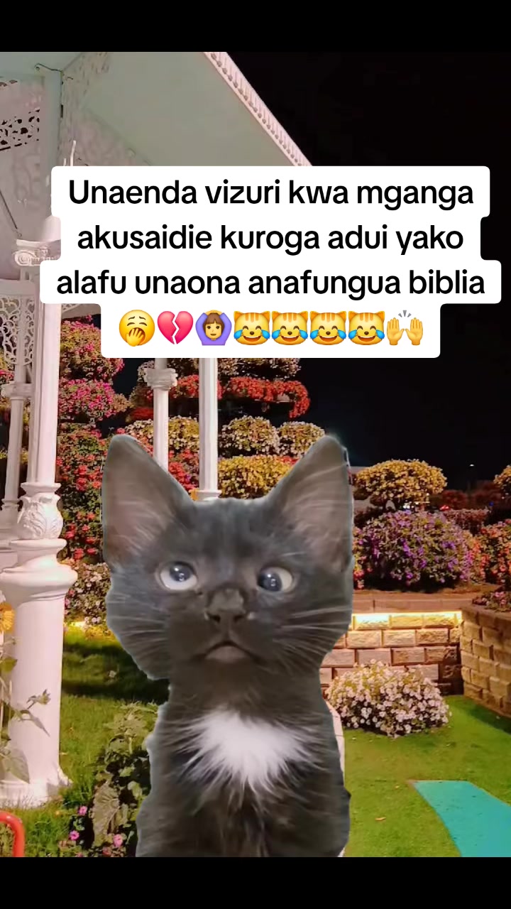 @Mpenda Maji ๐ซฃ๐ฆ๐ฅต