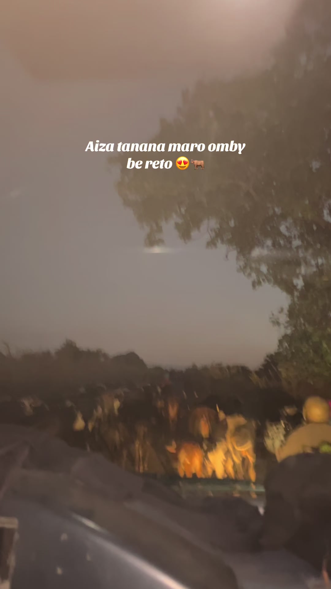 @𝓐ï𝓻𝓪𝓱🌸🇲🇬
