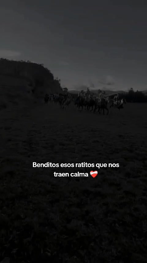 @veronicasarmiento