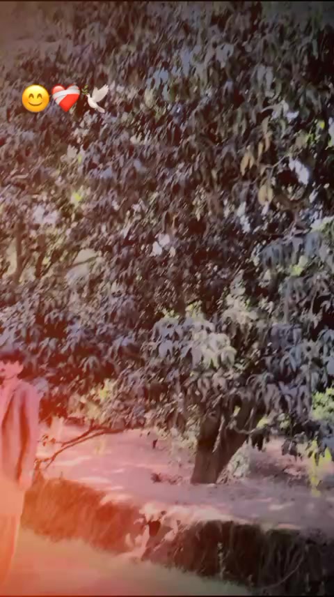 @اجمل سگو ♥️💔💜💯💘🖤💟💌💔