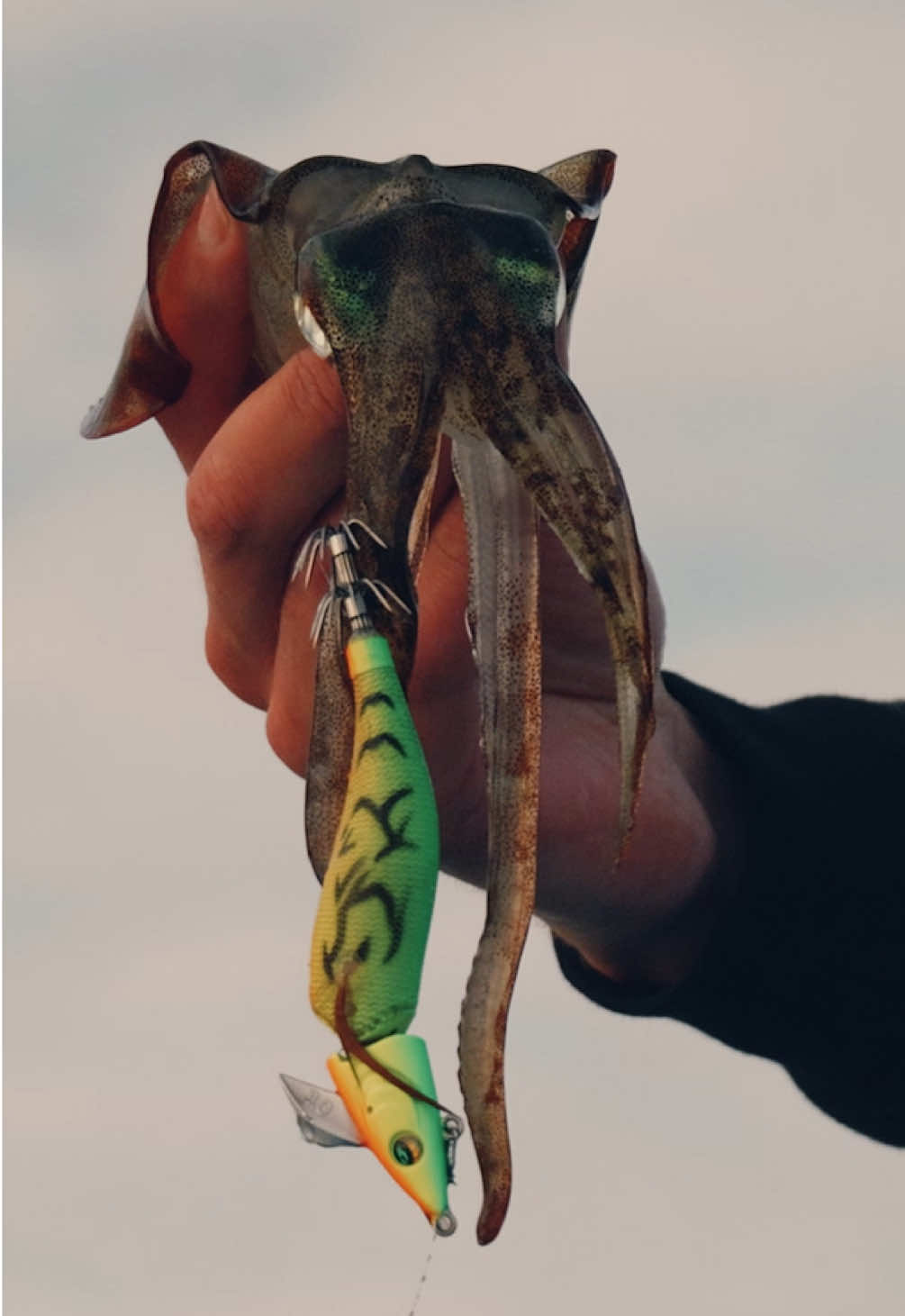 @Tackle World Australia