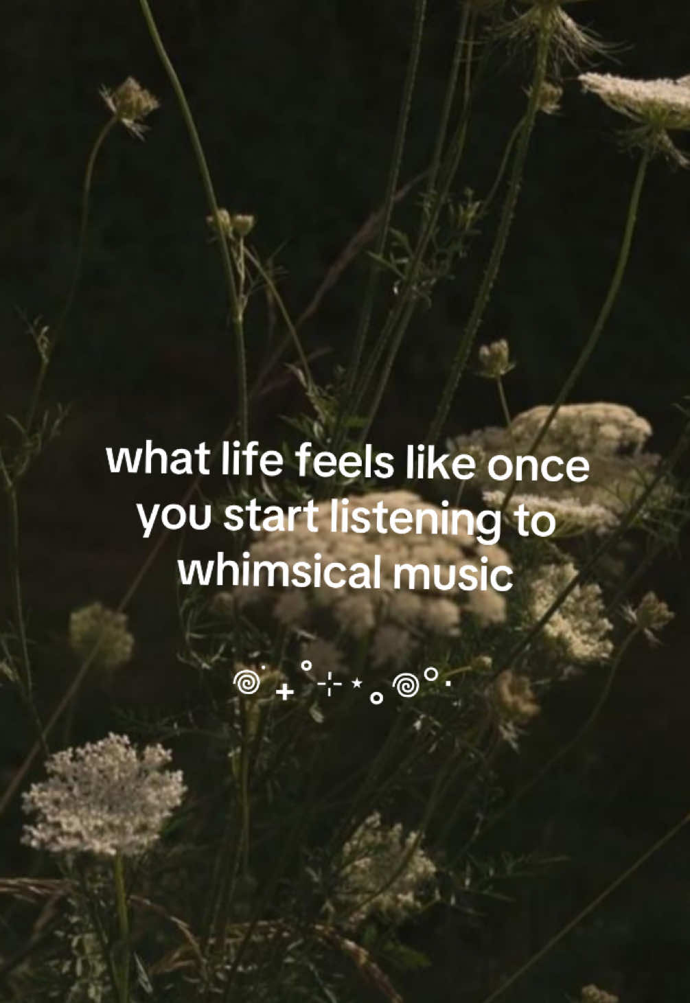 @𓆝 𓆟 𓆞 𓆝 𓆟 вєвє