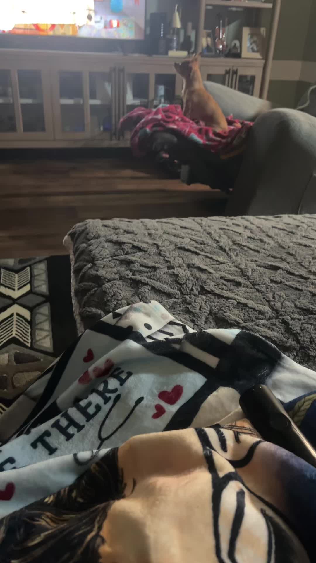 @Bella_Doll